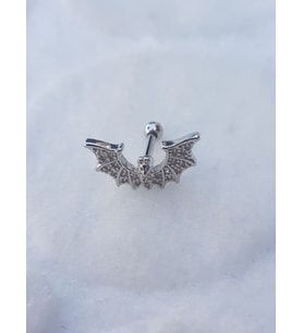 Tragus Küpe Piercing Çelik