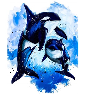 Orca Sayılarla Boyama Seti 40x50 cm (Tuvale Gerili)