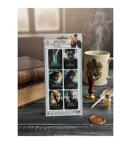 Harry Potter Lisanslı 2'li Sticker Set