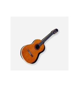 Gitar Rozet (Çok Renkli)