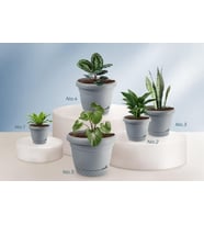 Omnipazar KRS Dekoratif İnci Bitki Çiçek Saksı Takımı 5'li Set Gri