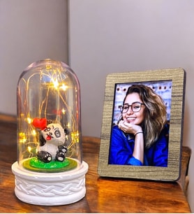 Sizlere Özel Fotoğraflı Led Işıklı Pandalı Fanus  Sevgiliye Hediye  Doğum Günü Hediyesi