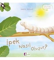Oluşum Hikayeleri - İpek nasıl oluşur?