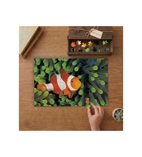 Palyaço Balığı - Okyanus Canlıları Tasarımı 240 parça Ahşap Puzzle Ahşap Kutuda MP10643