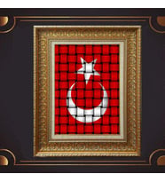 Gold Altın Kalın Çerçeveli Paspartulu Tablo c48