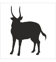 GEYİK FOLYO STİCKER 160cm Uzunluk (Karışık)