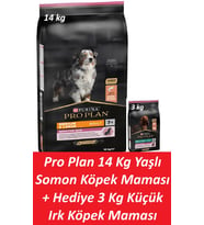 Pro Plan 14 Kg Yaşlı Somon Köpek Maması + Hediye 3 Kg Küçük Irk Köpek Maması