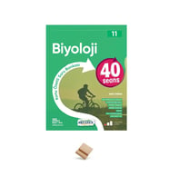 Okyanus 11. Sınıf 40 Seans Biyoloji + Telefon Standı