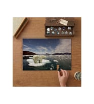 Kutup Ayısı - Küresel Isınma Tasarımı 240 parça Ahşap Puzzle Ahşap Kutuda MP01939