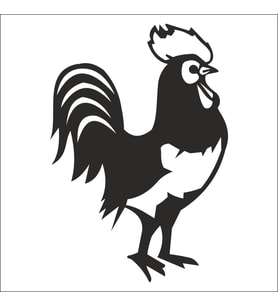 HOROZ FOLYO STİCKER 200cm Uzunluk (Karışık)