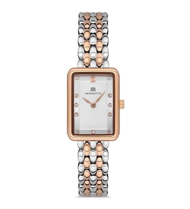 Momentus SW273T-02SR