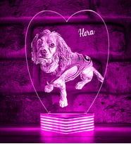 Evcil Hayvan Kedi Köpek Sahiplerine Hediye Kişiye Özel 3D Lamba (Pembe)