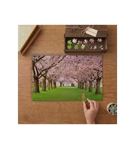 Sıralı Sakur Ağaçları Tasarımı 240 parça Ahşap Puzzle Ahşap Kutuda MP08016