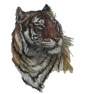 Caş Dekorasyon Kaplan Figürlü Geçici Dövme Tattoo