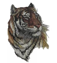 Caş Dekorasyon Kaplan Figürlü Geçici Dövme Tattoo