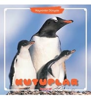 KUTUPLAR DÜNYASI  YUMURCAK