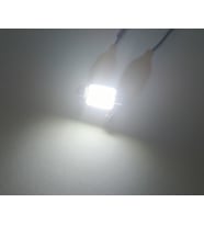 BMW E36 E39 E46 E90 E60 E53 E70 Modeller için Plaka Ampulu LED