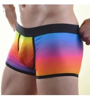 Mulvxbrf Brf02 Renkli Erkek Boxer (Mulvix)