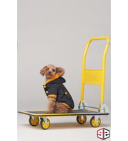 Köpek Kıyafeti -  Su geçirmez köpek montu, Köpek yağmurluğu (Siyah)