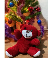 Kırmızı Peluş Ayıcık