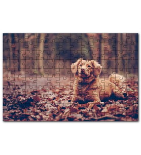 Cakapuzzle Sonbahar Yapraklar Üzerinde Kahverengi Köpek Puzzle Yapboz MDF(Ahşap) (120 Parça)