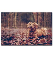 Cakapuzzle Sonbahar Yapraklar Üzerinde Kahverengi Köpek Puzzle Yapboz MDF(Ahşap) (120 Parça)