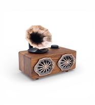 Ultratekno NS-801BT Gerçek Ahşap FM Radyo Gramofon Görünümlü Bluetooth Hoparlör (Hediyelik) (Açık Kahverengi)