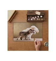 Kedi ve Köpek Kardeşliği Tasarımı 240 parça Ahşap Puzzle Ahşap Kutuda MP04954