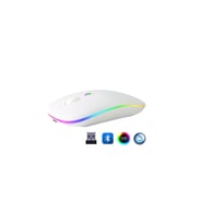 ZR215 Cba100 Rgb Beyaz Şarjlı Mouse TG-V 11131