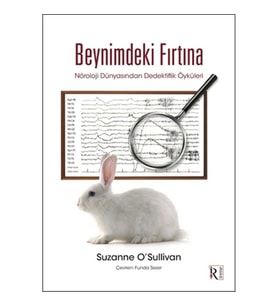 Beynimdeki Fırtına