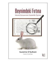 Beynimdeki Fırtına