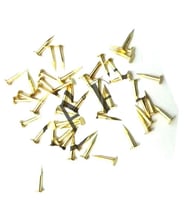 Klips, Menteşe, Ayağı Çivisi 7mm Çelik - Sarı 10gr