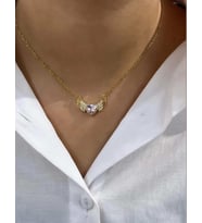 Gold Renk Zirkon Taşlı Parlak Büyüleyici Angel Wings Melek Kanadı 316L Çelik Kalp Kolye