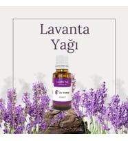 DR.YILMAZ LAVANTA YAĞI ( ANGUSTİFOLİA ) 20ML