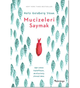 Mucizeleri Saymak