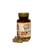 Hawmi Echinacea & Vıt C For Cat Kediler İçin C Vitamini Ve Bağışıklık Güçlendirici