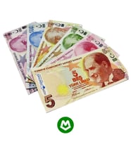 Magnet Kağıt ve Madeni Paralar Seti