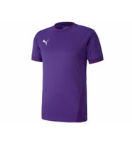 Puma Teamgoal 23 Jersey Erkek Futbol Forması 70417110 Mor