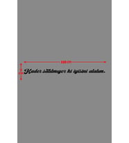Oto Cam Yazı Sözleri Ticari-Servis-Dolmuş-Panelvan Uzun Sticker Model 9