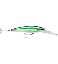 Rapala X-Rap Mag 16 Cm Bscd