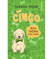 Cingo