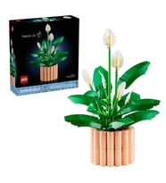 LEGO Botanicals Barış Çiçeği 11504