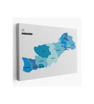 Mersin İli ve İlçeler Haritası  Dekoratif Kanvas Tablo 1420