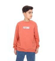Toontoy Erkek Çocuk Baskılı Sweatshirt (Kiremit)