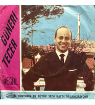 Güneri Tecer İstanbulu Artık Hiç Sevmiyorum 45lik Plak (Karışık)
