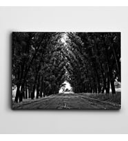 Yol ve Ağaçlar Kanvas Tablo