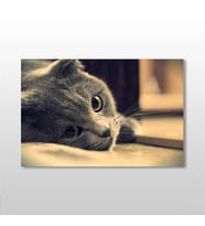 Siyah Kedi Kanvas Tablo 150x100cm (Karışık)