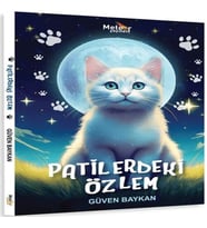 Patilerdeki