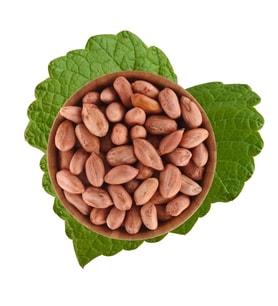 Yer Fıstık İçi Çiğ 500 g (STD)
