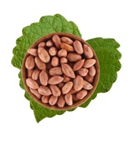 Yer Fıstık İçi Çiğ 500 g (STD)